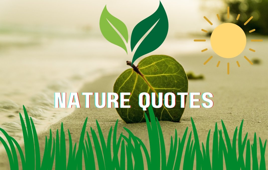 20 Best Nature Quotes for Instagram