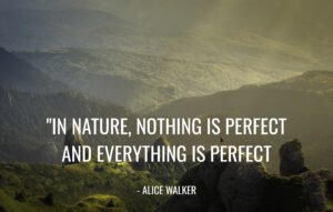 20 quotes about nature