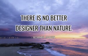 insta quotes about nature