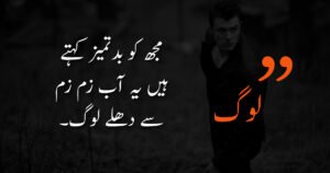 urdu quotes