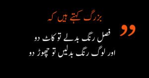 urdu quotes