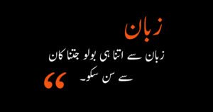 quotes in urdu